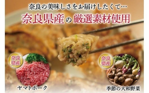 大和餃子 60個 冷凍 小分け 奈良 国産 大和豚 ヤマトポーク 大和野菜 餃子 ぎょうざ ギョーザ 豚肉 肉 お肉 家族 子ども 冷凍食品 弁当 おかず 中華 惣菜 グルメ 人気 おすすめ おいしい おつまみ 焼き餃子 冷凍餃子 ふるさと納税餃子 奈良県 奈良市