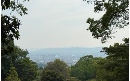 寺山霊苑からは奈良市内が一望できます