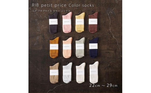 12-083 HARUSAKU [ CC ] ハルサク リブカラー ソックス 靴下 10P set 22cm～24cm 22cm～24cm