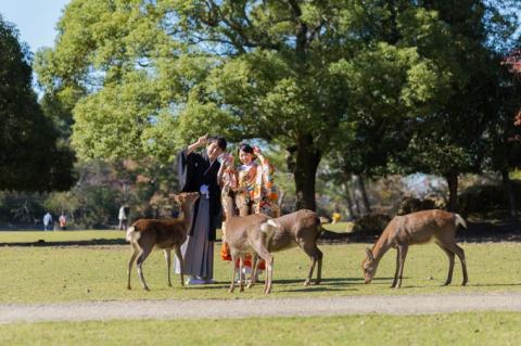 PKE-1 渡辺写真館 ロケーションフォトプランB ブライダル平日プラン