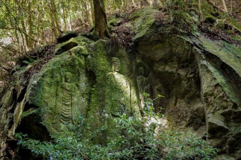 F-88　春日山原始林ガイドウォーク