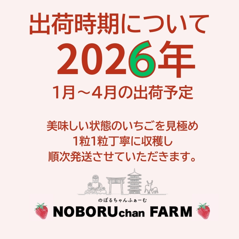 【 先行予約 / 数量限定 】 いちご 1kg 以上 ( 270g × 4P ) 新鮮 産地直送 厳選 【2026年1月以降発送】 旬 ブランド イチゴ 苺 古都華 フルーツ 果物 くだもの 国産 限定 大粒 産地 農場 直送 フレッシュ ベリー 贈答用 プレゼント 人気 おすすめ 苺 デザート スイーツ イードム株式会社 のぼるちゃんファーム 奈良県 奈良市 なら