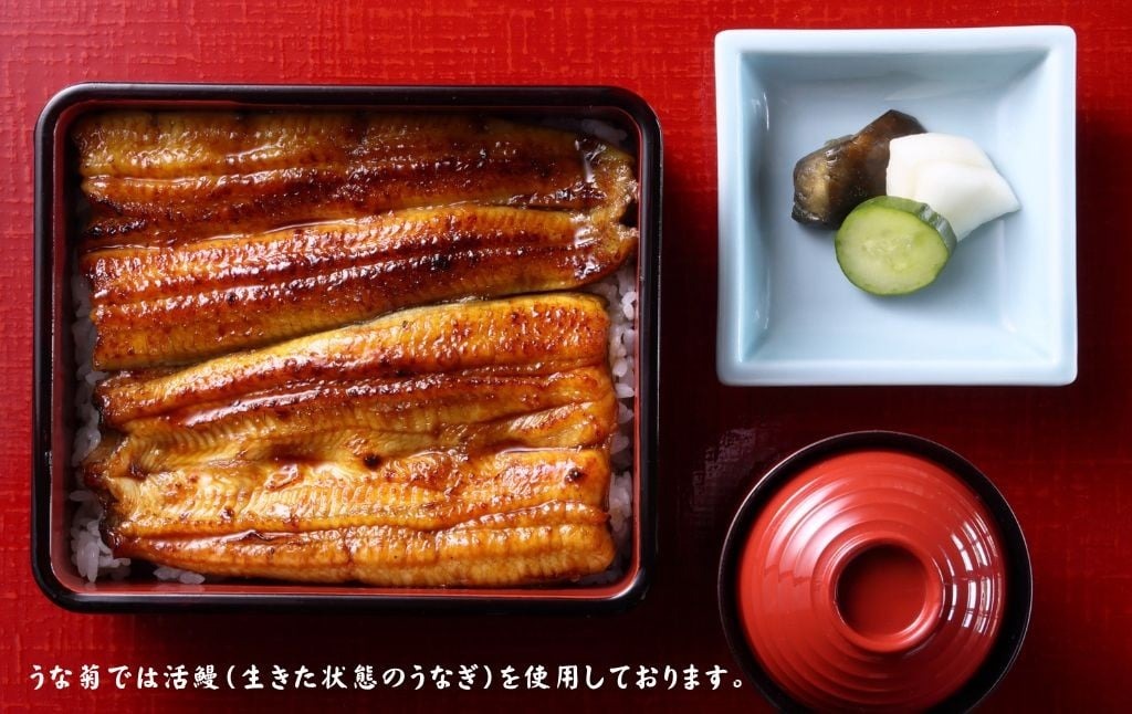 うな菊 【奈良本店】 御食事券 うな重一尾 お食事券 老舗 うなぎ うな重 鰻 魚 海鮮 新鮮 魚介類 ギフト 飲食店 旅行 食事 観光 お礼の品 プレゼント 奈良県 奈良市 奈良 なら 16-060