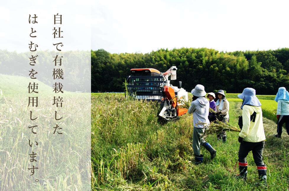 活性はとむぎ美人茶有機（お徳タイプ） それいゆ株式会社 奈良県 奈良市 なら 7-008