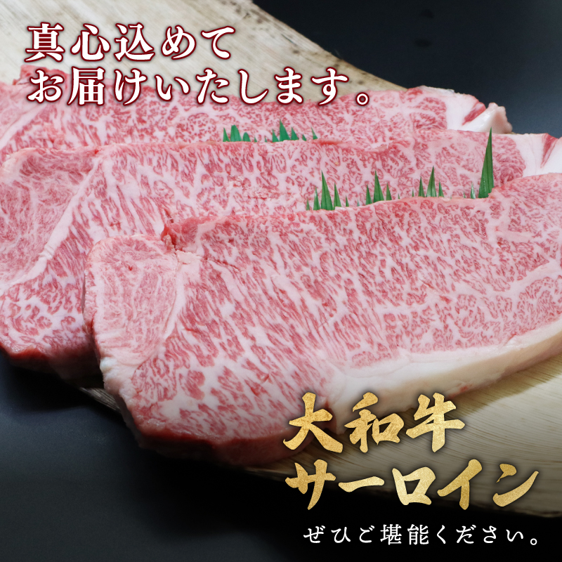 F-48 大和牛サーロイン300g×3枚