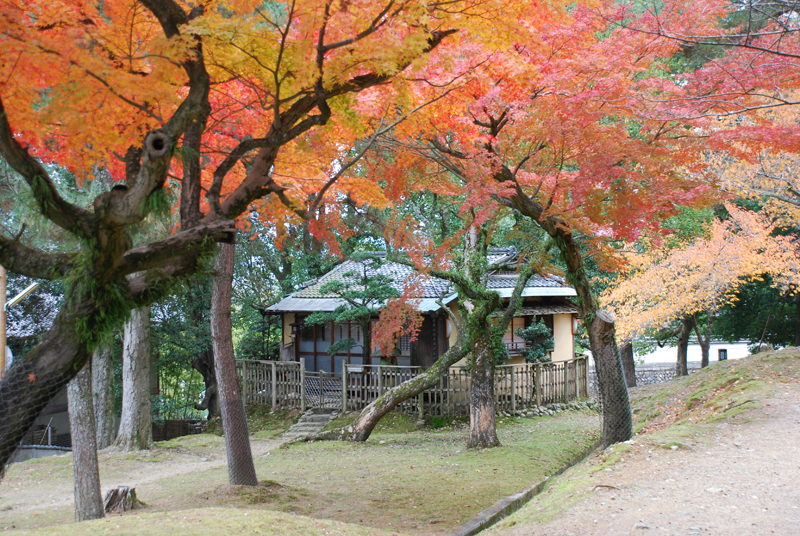 江戸三　ランチ・ワンドリンク付き　2名様　お食事券 F-89