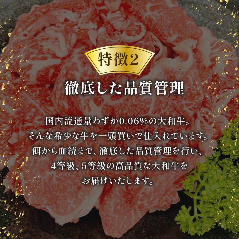 H-113 大和牛 すき焼き・しゃぶしゃぶ用切り落とし 1.2kg 肉の河内屋