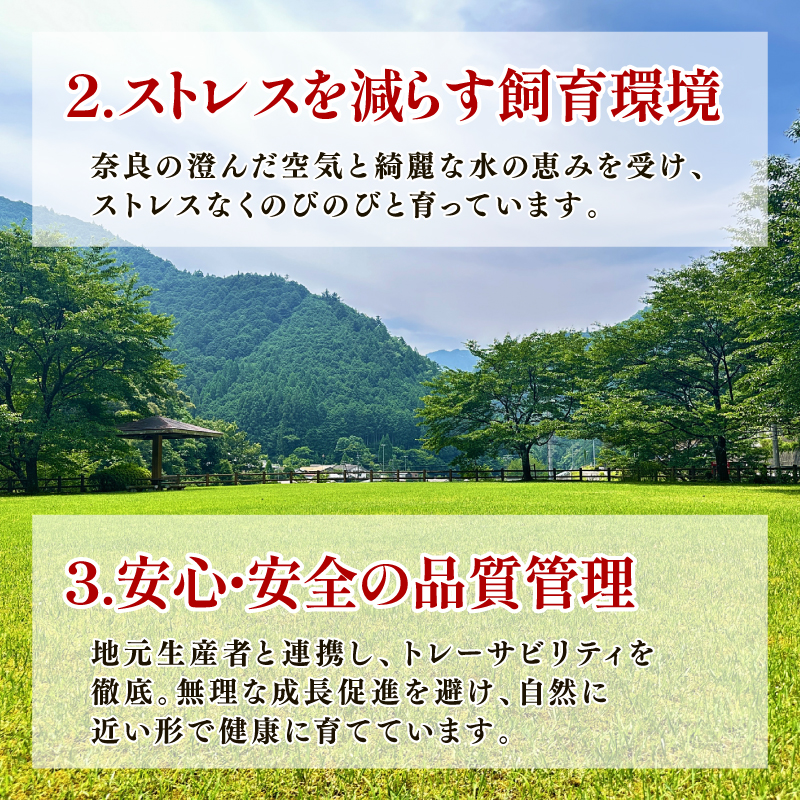 I-131 ヤマトポークロースステーキ用