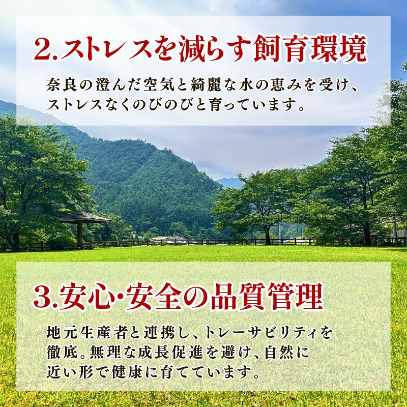 I-240 ヤマトポークロース切落し 豚肉 切り落とし ヤマトポーク 豚 国産豚 ブランド豚