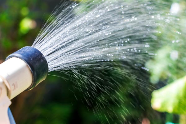 まごころサポート3000円分クーポン券 まごころサポート 奈良KAEDE店 I-300