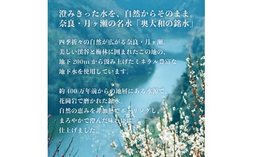 【最短3日発送】奥大和の銘水（月ヶ瀬の水）『500ml×48本セット』シリカ水 軟水 賞味期限2年 長期間保存可能 美味しい水 飲料水 みず ミネラル 美容 備蓄 防災 長期保存 長期保存用 ミネラルウオーター 500ml 以上の返礼品 奈良県 奈良市 I-98