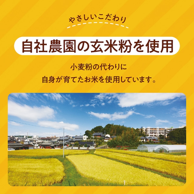 グルテンフリー バターチキンカレー 180g×2袋 奈良おおの農園 奈良県 奈良市 なら J-120