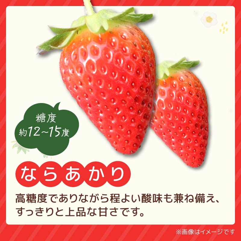 いちご 奈乃華 ならあかり セット 2026年 発送（270g×2パック）予約受付中 数量限定 早期終了 予定あり  家庭用 イチゴ 先行予約 苺 奈良ブランド苺 ブランド 古都華 大粒 苺 旬 産地 直送 フレッシュ 新鮮  フルーツ 果物 くだもの  萩原いちご農園 奈良県 奈良市 hgi01
