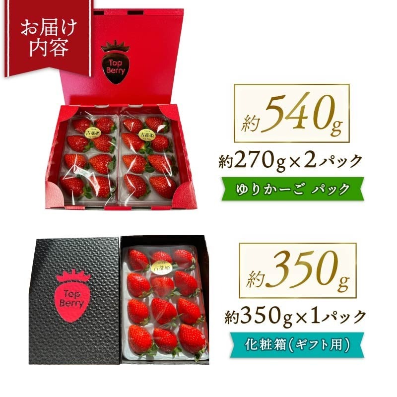【数量限定】 2026年発送 苺 いちご 古都姫 2パック 約540g (270g×2P) ゆりかーご 冷蔵 小分け 果物 スイーツ デザート くだもの フルーツ ベリー ふるさと納税 いちご 大粒 採れたて 完熟 おやつ 産地直送 先行予約 数量限定 季節限定 ブランド イチゴ ギフト お祝い 中村農園 奈良県 奈良市 inn01