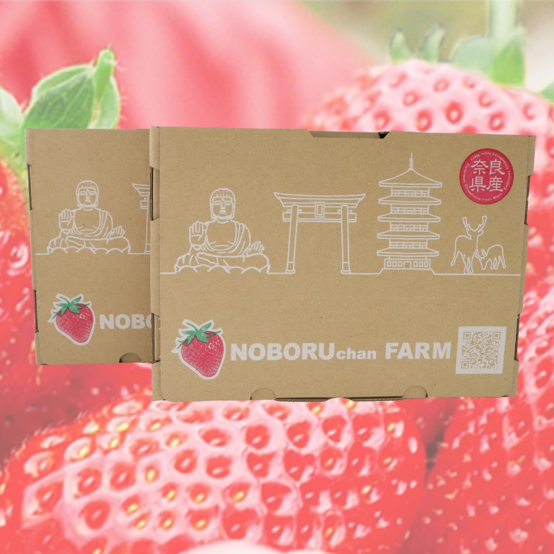 【 先行予約 / 数量限定 】 いちご 1kg 以上 ( 270g × 4P ) 新鮮 産地直送 厳選 【2026年1月以降発送】 旬 ブランド イチゴ 苺 古都華 フルーツ 果物 くだもの 国産 限定 大粒 産地 農場 直送 フレッシュ ベリー 贈答用 プレゼント 人気 おすすめ 苺 デザート スイーツ イードム株式会社 のぼるちゃんファーム 奈良県 奈良市 なら