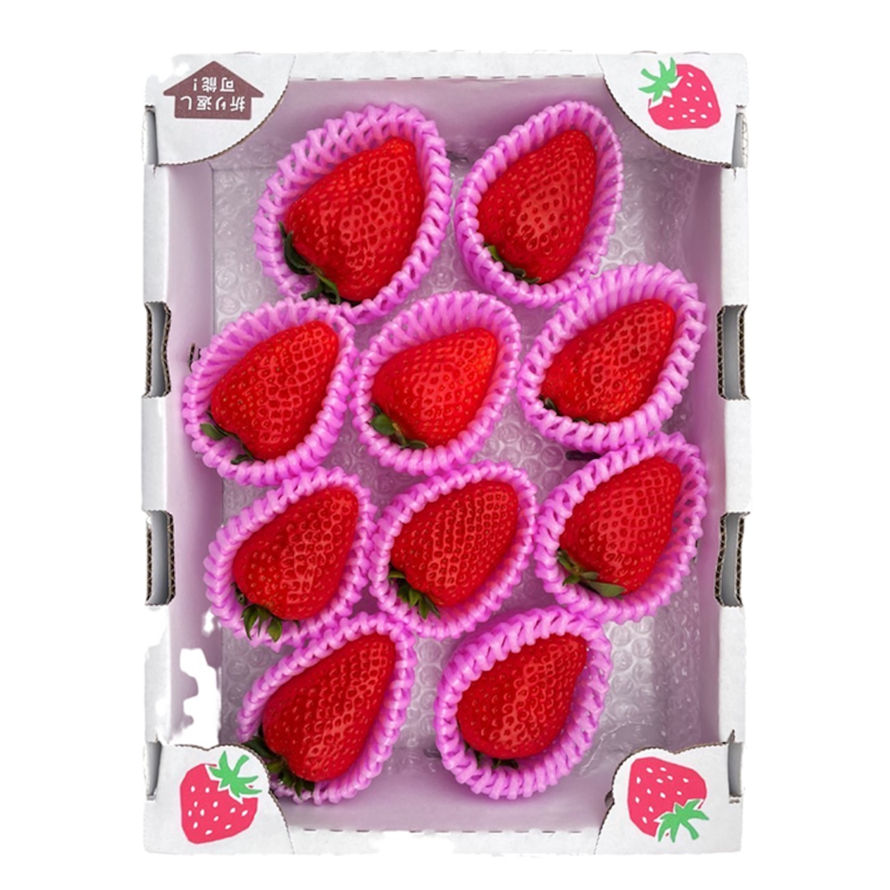 ★★2026年予約販売開始★★【2026年（令和8年）1月～発送】  「6FARMの 古都華いちご大粒サイズ」 限定出荷 〈6FARM〉 いちご 苺 奈良ブランド苺 イチゴ ブランド 古都華 大粒 奈良県 奈良市 なら 20-050