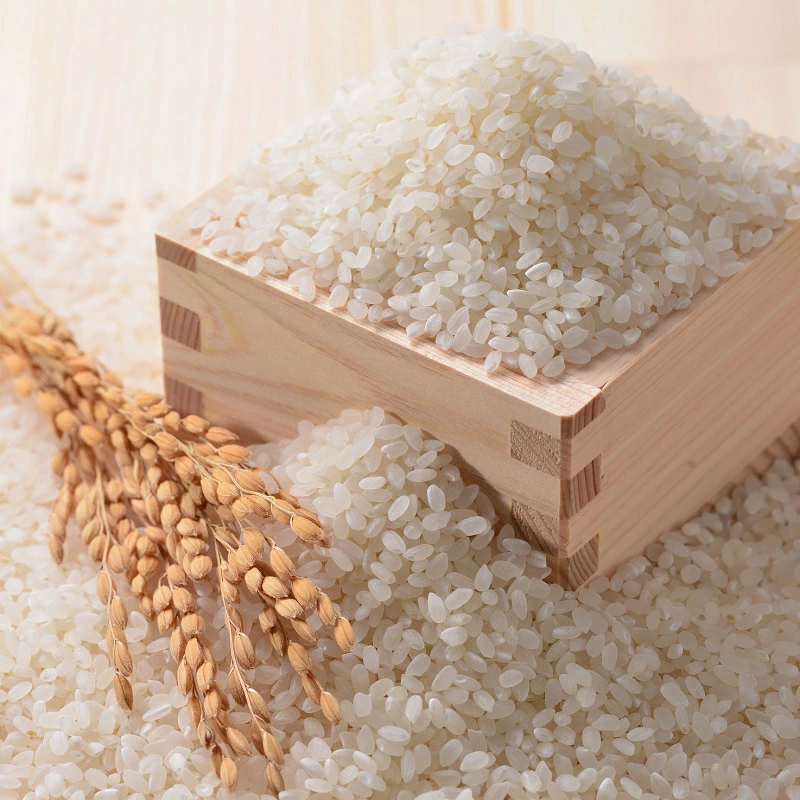 柿の葉寿司 5色 50個入 二段詰 株式会社中谷本舗 ゐざさ 詰め合わせ セット 和食 郷土料理 名物 贈答品 お取り寄せ グルメ 人気 おすすめ 美味しい 特産品 伝統 寿司 柿の葉ずし 奈良県 奈良市 敬老の日 ハロウィン クリスマス バレンタイン 正月 35-029