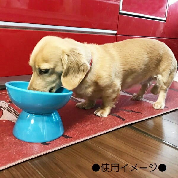 フードボウル ペット用食器 『 小型犬用食器 イエロー 』(スケーター株式会社) 犬用食器 ペット用 犬 食器 餌 餌入れ えさ入れ ペットフード入れ 小型犬 白 マット付 536298 奈良県 奈良市 なら 9-053