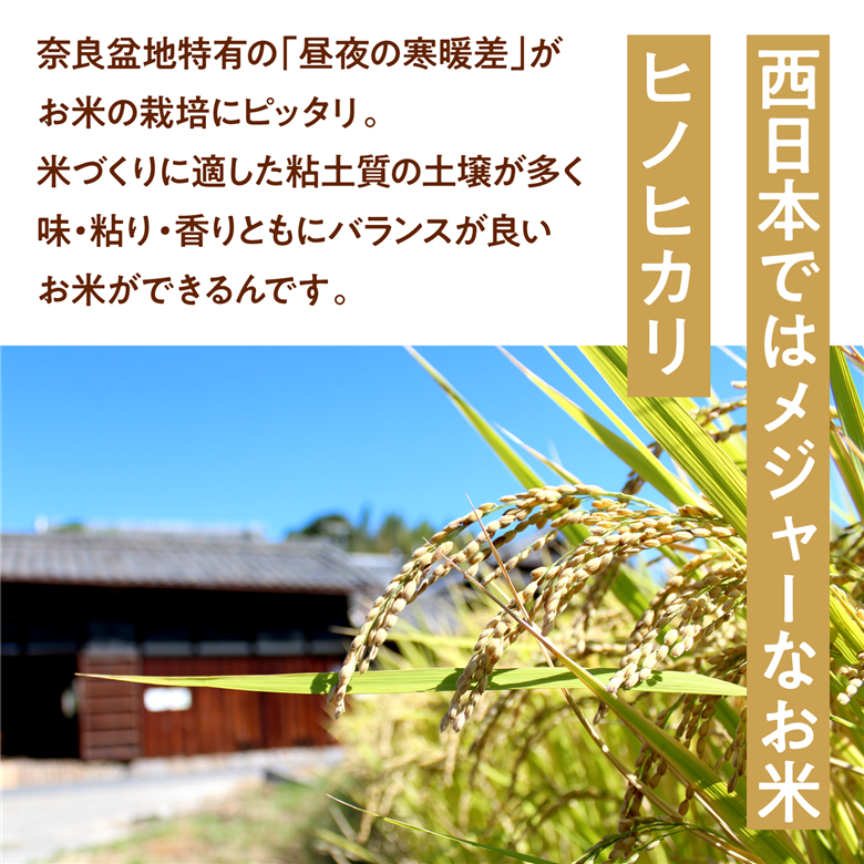 パックごはん白米6個セット：地下水で育てた「金鵄米きんしまい」 レトルトご飯 パックご飯 米 お米 こめ ごはん 安心 国産 奈良県 奈良市 なら 9-106