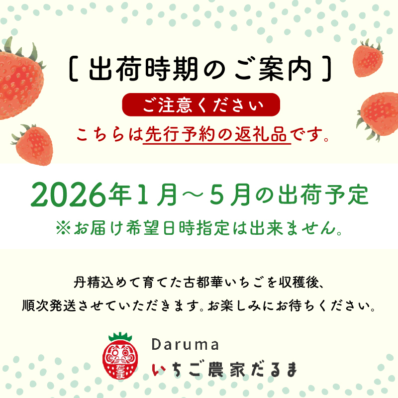 いちご 古都華 270g×4パック 数量限定 苺 イチゴ ブランド 大粒 旬 産地直送 フルーツ 果物 冷蔵 フレッシュ 小分け 国産 贈答用 プレゼント ギフト 奈良産 高級 厳選 限定 新鮮 産地 直送 ブランド苺 甘い 人気 美味しい 糖度 12～13度 限定出荷 奈良市 奈良県 大ちゃん いちご 農家 だるま Lから4Lサイズ