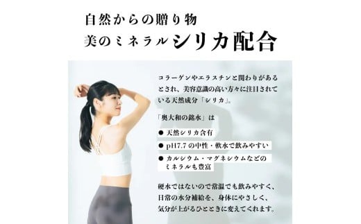 【定期便6ヶ月】奥大和の銘水　500ml×48本（1箱24本入り×2箱）×6ヶ月 Q-13