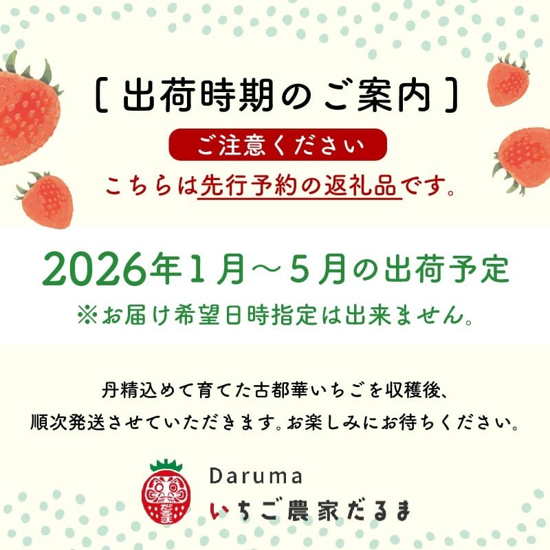 いちご 古都華 270g×2パック 数量限定 苺 イチゴ ブランド 大粒 旬 産地直送 フルーツ 果物 冷蔵 フレッシュ 小分け 国産 贈答用 プレゼント ギフト 奈良産 高級 厳選 限定 新鮮 産地 直送 ブランド苺 甘い 人気 美味しい 糖度 12～13度 限定出荷 奈良市 奈良県 大ちゃん いちご 農家 だるま Lから4Lサイズ