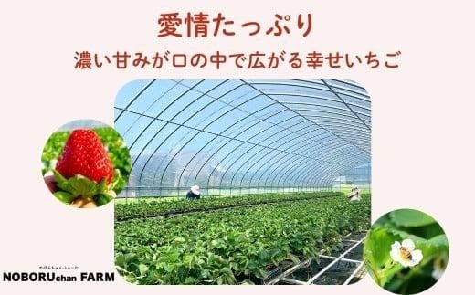 いちご 古都華 500g以上 270g×2P 先行予約 数量限定 新鮮 産地直送 厳選 2026年1月以降発送 大粒 冷蔵 小分け 旬 ブランド イチゴ 苺 フルーツ 果物 くだもの 国産 限定 ベリー 贈答用 ストロベリー デザート スイーツ ギフト プレゼント 季節 特産品 奈良市 奈良県 のぼるちゃんファーム