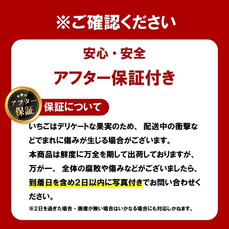 【数量限定】 2026年発送 苺 いちご 古都姫 2パック 約540g (270g×2P) ゆりかーご 冷蔵 小分け 果物 スイーツ デザート くだもの フルーツ ベリー ふるさと納税 いちご 大粒 採れたて 完熟 おやつ 産地直送 先行予約 数量限定 季節限定 ブランド イチゴ ギフト お祝い 中村農園 奈良県 奈良市 inn01