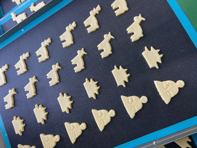 奈良公園クッキー（10枚入り×3個）パルメット株式会社 奈良県 奈良市 なら 5-032