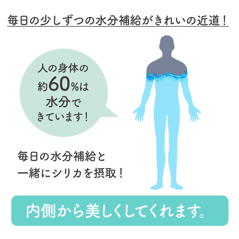 シリカウォーター 500ml×48本 ミネラルウォーター 天然水 シリカ水 水 500ml Silica mineral water Lirico 奈良市産 LeMoN 奈良県 奈良市 なら
