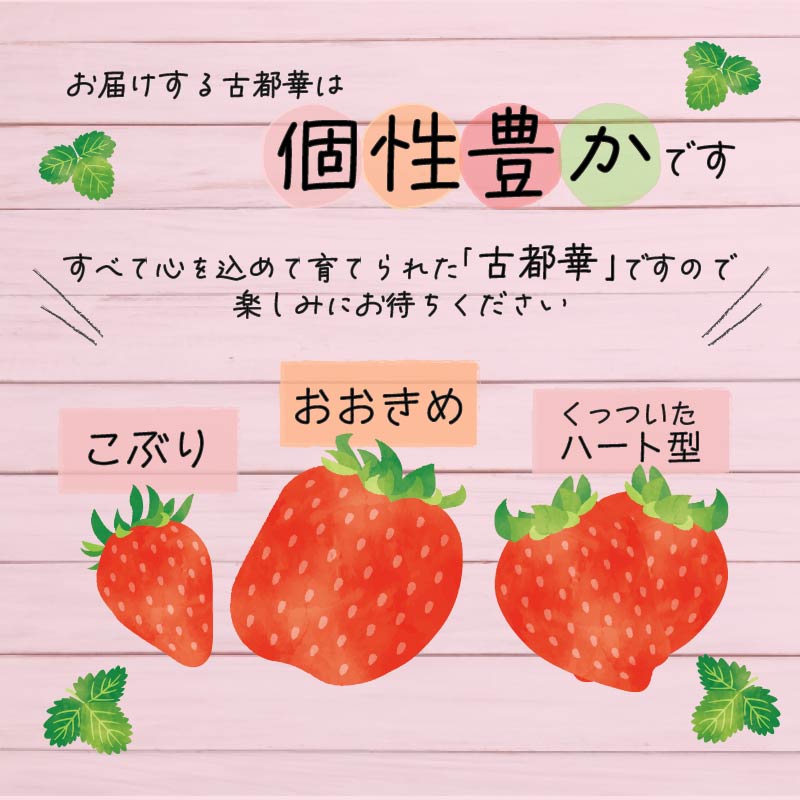 いちご 古都華 270g×4パック 数量限定 苺 イチゴ ブランド 大粒 旬 産地直送 フルーツ 果物 冷蔵 フレッシュ 小分け 国産 贈答用 プレゼント ギフト 奈良産 高級 厳選 限定 新鮮 産地 直送 ブランド苺 甘い 人気 美味しい 糖度 12～13度 限定出荷 奈良市 奈良県 大ちゃん いちご 農家 だるま Lから4Lサイズ
