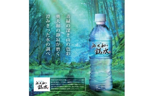 【最短3日発送】奥大和の銘水（月ヶ瀬の水）『500ml×48本セット』シリカ水 軟水 賞味期限2年 長期間保存可能 美味しい水 飲料水 みず ミネラル 美容 備蓄 防災 長期保存 長期保存用 ミネラルウオーター 500ml 以上の返礼品 奈良県 奈良市 I-98