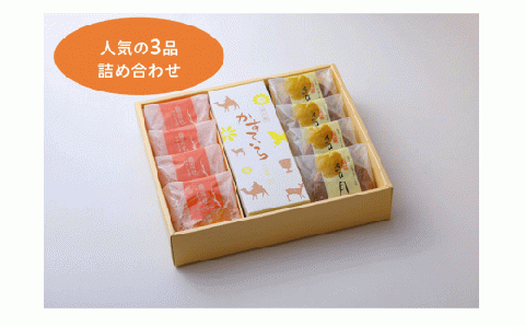 I-222 大和風詠菓 萬春堂の人気スイーツ詰め合わせ(どら焼き4個・マドレーヌ4個・カステラ1本)