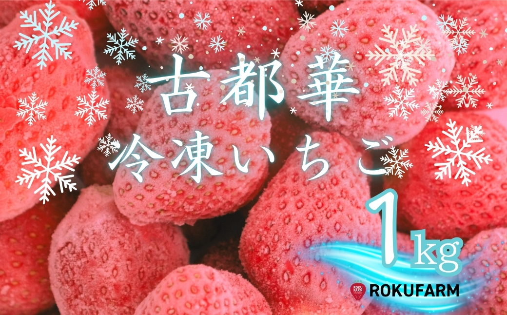 【数量限定】完熟古都華 の 冷凍いちご（古都華） 奈良ブランド苺 イチゴ フルーツ 果物 国産 冷凍 人気 かき氷 フローズン スムージー ジャム アレンジ スイーツ 『６FARM』 奈良県 奈良市 10-212
