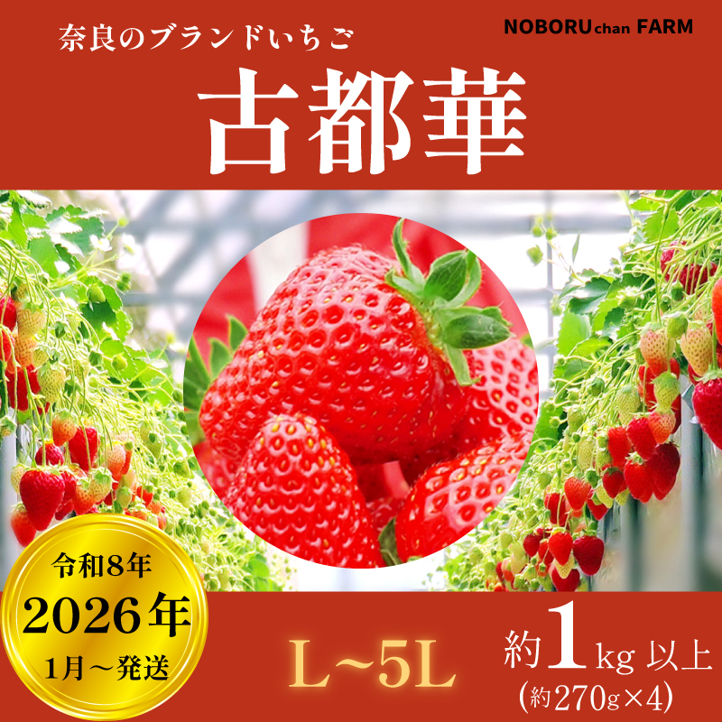 【 先行予約 / 数量限定 】 いちご 1kg 以上 ( 270g × 4P ) 新鮮 産地直送 厳選 【2026年1月以降発送】 旬 ブランド イチゴ 苺 古都華 フルーツ 果物 くだもの 国産 限定 大粒 産地 農場 直送 フレッシュ ベリー 贈答用 プレゼント 人気 おすすめ 苺 デザート スイーツ イードム株式会社 のぼるちゃんファーム 奈良県 奈良市 なら