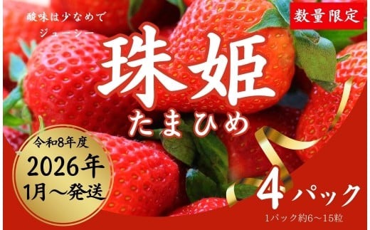 【数量限定】2026年予約販売開始  珠姫（たまひめ）×4パック 先行予約 早期終了予定あり いちご 苺 イチゴ ブランド 旬 産地 直送 フレッシュ 新鮮 いちご農家 めいとく農園 奈良県 奈良市 奈良 なら 12-060