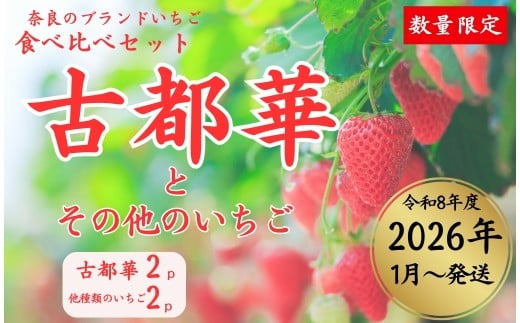 【数量限定】2026年予約販売開始 奈良ブランドいちご２種 食べ比べセット×２セット（古都華２パック＋別品種２パックの計４パック） (他１種は、かおりの・珠姫・奈乃華・ならあかり・あすかルビーのいずれか) イチゴ いちご 苺 めいとく農園 奈良県 奈良市 奈良 14-034