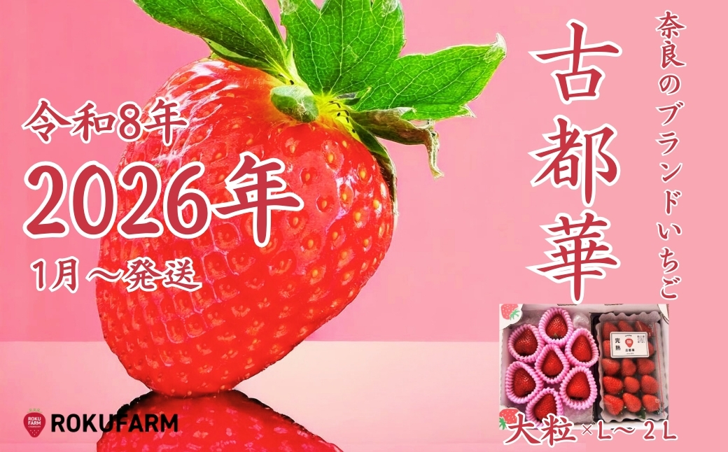 ★★2026年予約販売開始★★【2026年（令和8年）1月～発送】  「6FARMの 古都華いちご大粒とL～２Lセット」 限定出荷 〈6FARM〉 いちご 苺 奈良ブランド苺 イチゴ ブランド 古都華 大粒 奈良県 奈良市 なら 15-068