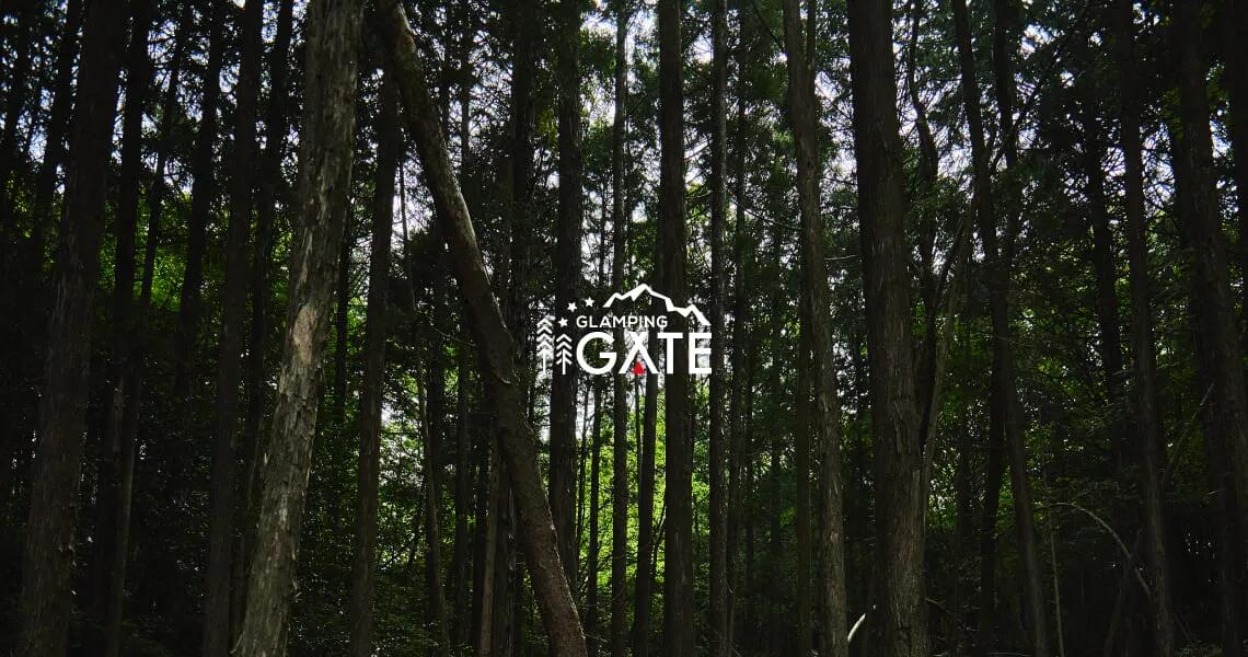 グランピングゲート奈良 15,000円分クーポン券 奈良市なら 50-014