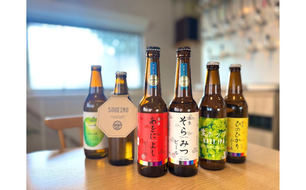 【３ヶ月定期便】クラフトビール飲み比べセット　69-001