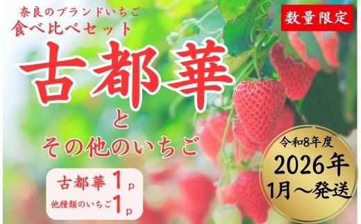 【数量限定】2026年予約販売開始 奈良のいちご食べくらべセット２種（古都華・他１種は、かおりの・珠姫・奈乃華・ならあかり・あすかルビーからいずれか) いちご 苺 イチゴ 奈良県認証 めいとく農園 奈良県 奈良市 奈良 なら 7-192