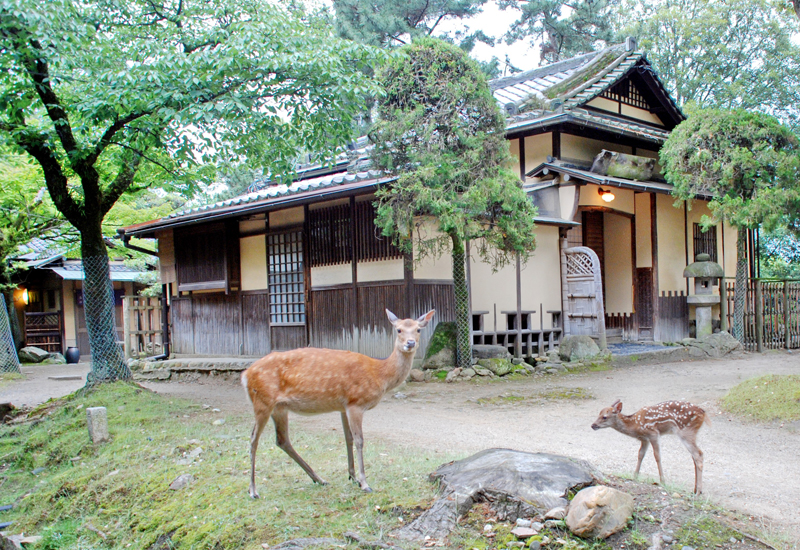 江戸三　1泊2食付宿泊券（2名様1室） C-37