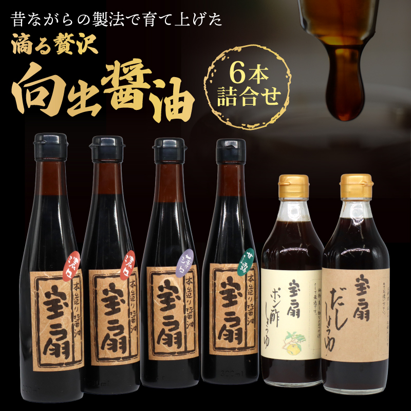 I-52 向出醤油 詰合せセット