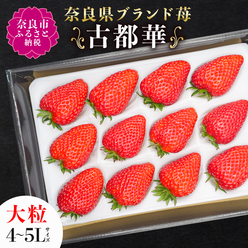 【 数量限定 予約販売 】 ブランド いちご 古都華 1P 宝石のような濃いルビー色 苺 イチゴ 大粒 4L～5L 2026年 1月 以降順次発送 1月 2月 3月 旬 産地 農場 直送 フレッシュ スイーツ スムージー ケーキ フルーツ 果物 国産 ベリー 贈答用 プレゼント 人気 ふるさと納税 ふるさと おすすめ 限定 奈良県 奈良市 なら 古都華カンパニー IK-01