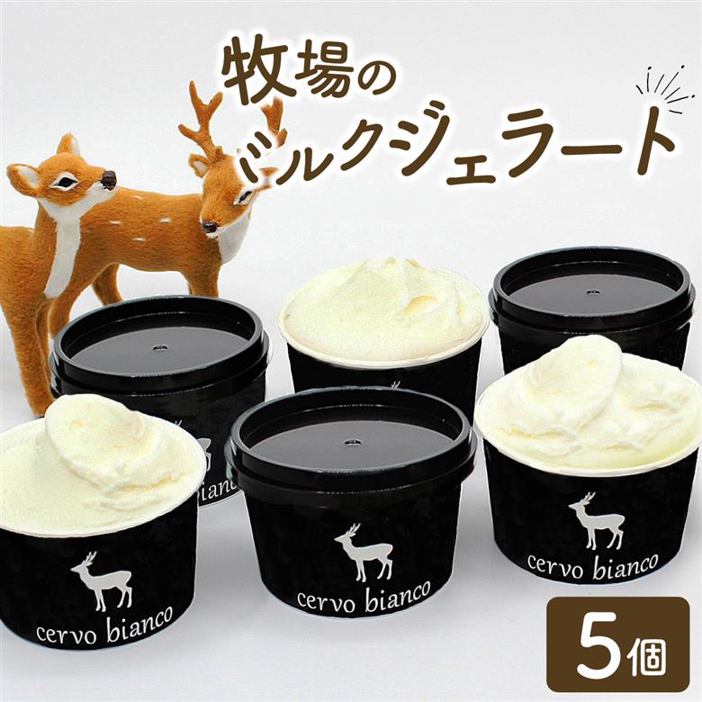 J-47 奈良の大人気店cervo biancoのジェラート 5個セット
