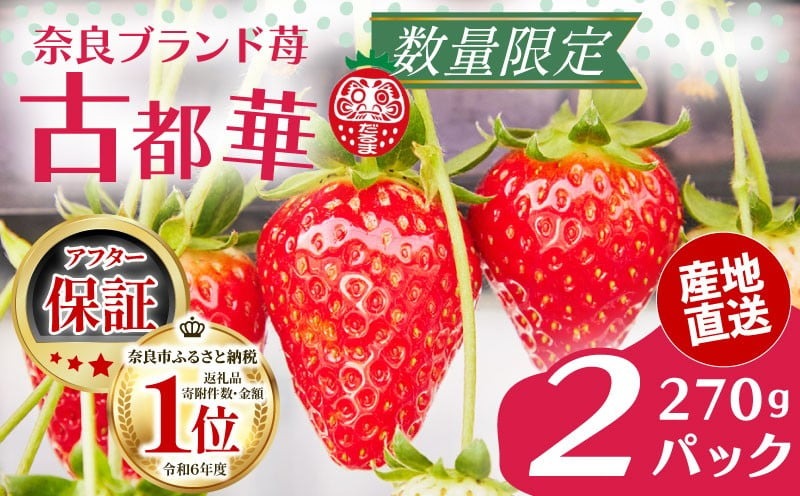 いちご 古都華 270g×2パック 数量限定 苺 イチゴ ブランド 大粒 旬 産地直送 フルーツ 果物 冷蔵 フレッシュ 小分け 国産 贈答用 プレゼント ギフト 奈良産 高級 厳選 限定 新鮮 産地 直送 ブランド苺 甘い 人気 美味しい 糖度 12～13度 限定出荷 奈良市 奈良県 大ちゃん いちご 農家 だるま Lから4Lサイズ