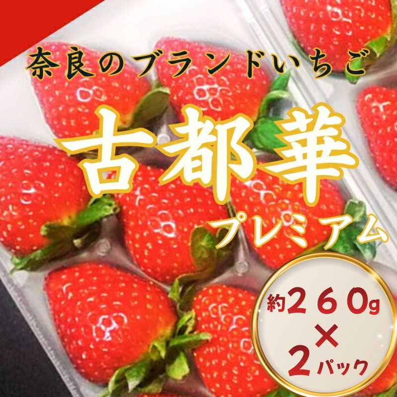 【 数量限定】 奈良のブランドいちご 古都華 約520g 260g×2パック 1パック6~11粒 イチゴ 月 旬 産地 農場 直送 フレッシュ スイーツ スムージー ケーキ フルーツ 果物 国産 ベリー 贈答用 プレゼント 人気 ふるさと納税 ふるさと おすすめ 限定 奈良県 奈良市 なら ファーム和だや