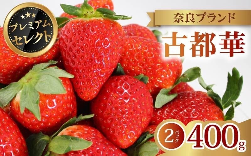 いちご 古都華 プレミアム セレクト 2026年 発送（400g×2パック） 贈与用 予約受付中 数量限定 早期終了 予定あり いちご イチゴ 先行予約 いちご 苺 奈良ブランド苺 イチゴ ブランド 古都華 大粒 苺 旬 産地 直送 フレッシュ 新鮮  フルーツ 果物 くだもの  萩原いちご農園 奈良県 奈良市 hgi04