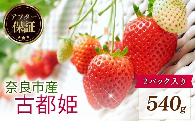 【数量限定】 2026年発送 苺 いちご 古都姫 2パック 約540g (270g×2P) ゆりかーご 冷蔵 小分け 果物 スイーツ デザート くだもの フルーツ ベリー ふるさと納税 いちご 大粒 採れたて 完熟 おやつ 産地直送 先行予約 数量限定 季節限定 ブランド イチゴ ギフト お祝い 中村農園 奈良県 奈良市 inn01