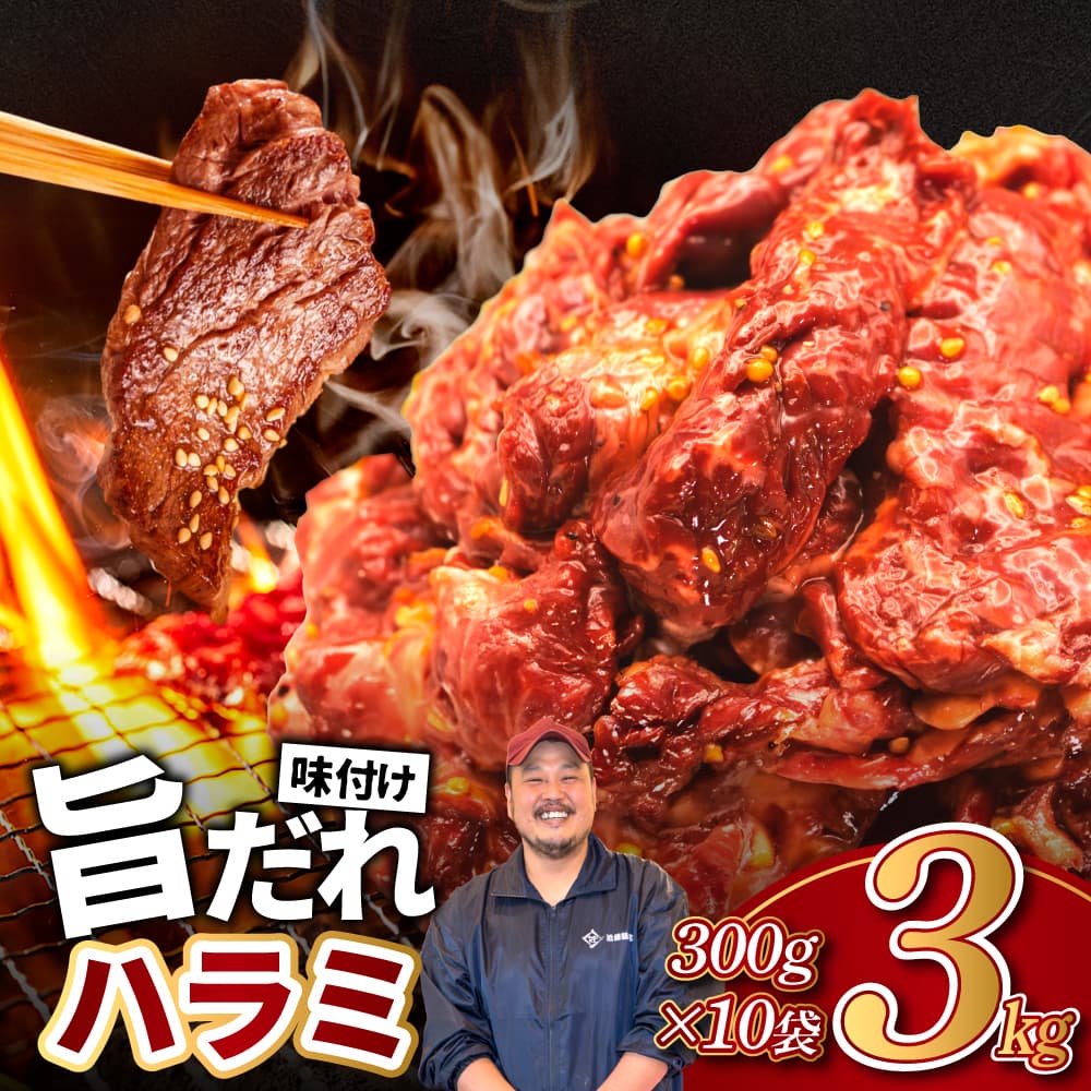 旨だれハラミ 3kg 牛肉 選べる発送時期 容量 牛肉 肉 牛 濃厚 旨味 便利 小分け お肉 牛肉 ハラミ 牛ハラミ 冷凍 送料無料 近藤精肉店:  奈良市ANAのふるさと納税